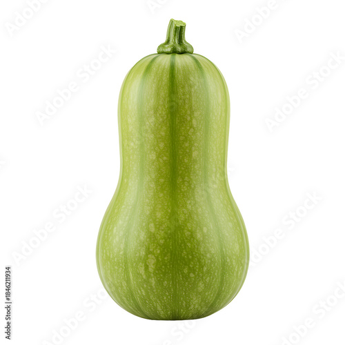 Fresh green butternut squash on black background