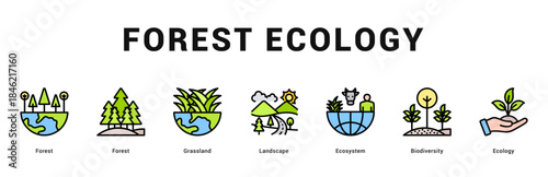 Forest Ecology Modern and clean web banner illustration featuring thematic icons for visual communication