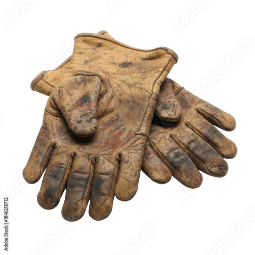 Wallpaper Mural Rustic leather work gloves showing signs of heavy use and dirt isolated on transparent background Torontodigital.ca