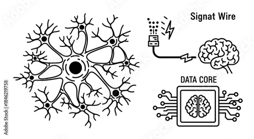 A professional photographer uses a high-end DSLR camera to capture a sharp portrait of a smiling woman posing in a bright outdoor setting