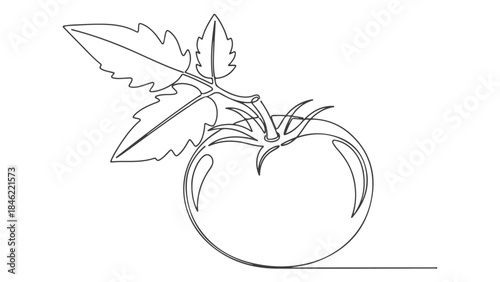 A simple, elegant line drawing of a ripe tomato with leaves and a stem, presented on a white background.