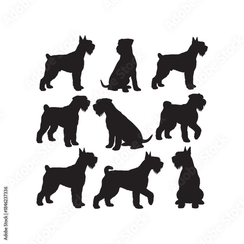 Russian Terrier Silhouettes Collection,Russian Terrier Silhouettes,Vector Russian Terrier Silhouettes,Black Russian Terrier Silhouettes,russian terrier vector
