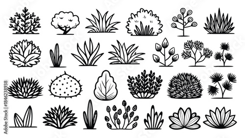 A collection of hand-drawn bushes and trees, showcasing various shapes and sizes in a natural setting..eps