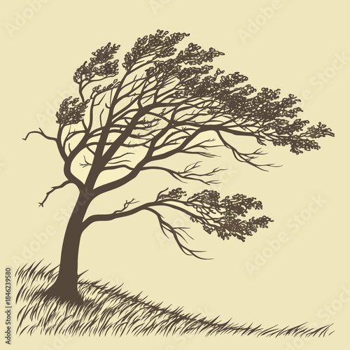 Brown tree on hill with grass windy