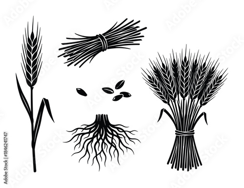Black Silhouette Illustration of Wheat Stalks, Sheaves, Seeds and Roots on White Background
