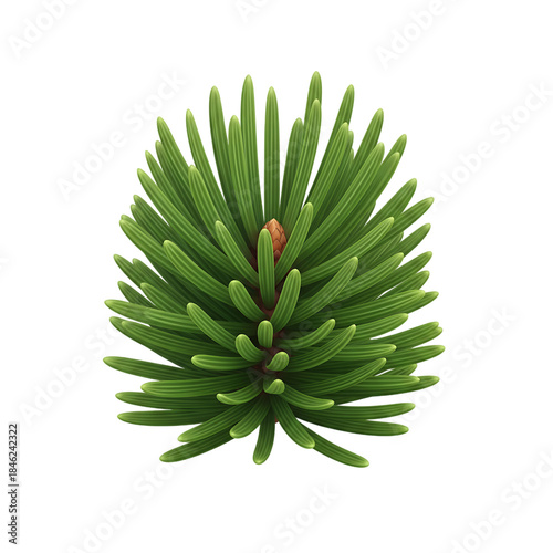 A detailed close-up illustration of a fresh conifer branch tip with vibrant green needles