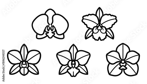 Collection of Five Simple Orchid Flower Outlines in Black and White