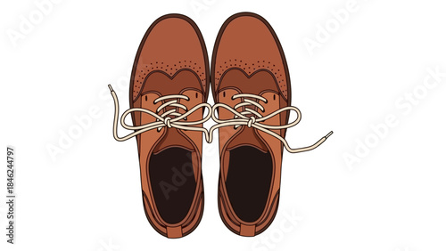 Overhead View of Brown Leather Oxford Shoes with Laces Tied Together