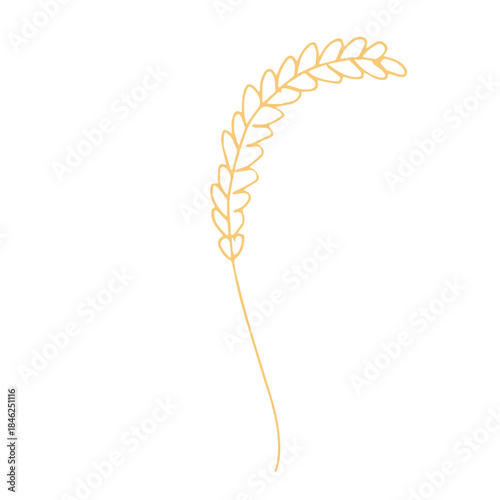 Hand drawn cereal wheat oat rye barley rice ears spikelet clipart Organic wheat bread agriculture farming harvest healthy food Single element for print packaging label design decor