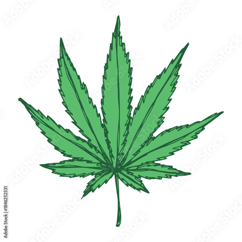 Hand drawn cannabis leaf Medicine marijuana Hemp leaves clipart in doodle style Single element for print, web, design, decor