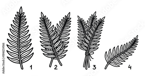 Fern Fronds Illustrations Set, Hand Drawn Botany Design Elements