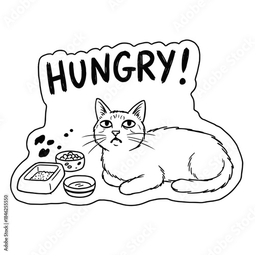 Cartoon illustration of a hungry cat next to food bowls with bold text "HUNGRY!" 