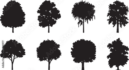 Collection of Tree Silhouettes Nature Forest Illustration Set