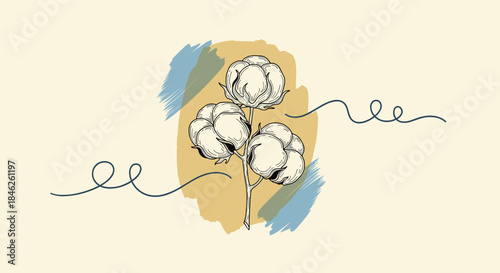 Artistic hand-drawn illustration of a cotton plant branch set against an abstract background with soft color brush strokes.