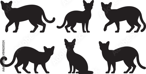 Silhouettes of Cats in Various Poses on Transparent Background