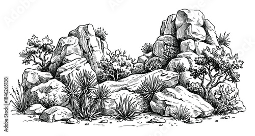 Monochrome Desert Landscape Sketch with Rocks and Vegetation