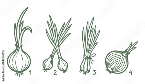 Outline Spring Onions Set Green Color Isolated Vector Illustration
