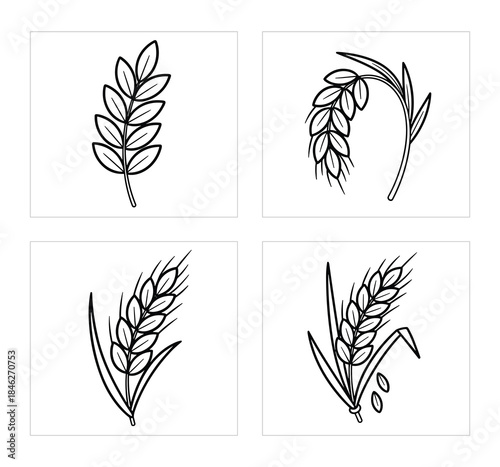 Set of 4 Line Art Wheat and Cereal Grain Illustrations on White Background