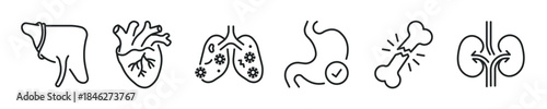 Human Organs thin line icon set. Web minimal editable stroke icons