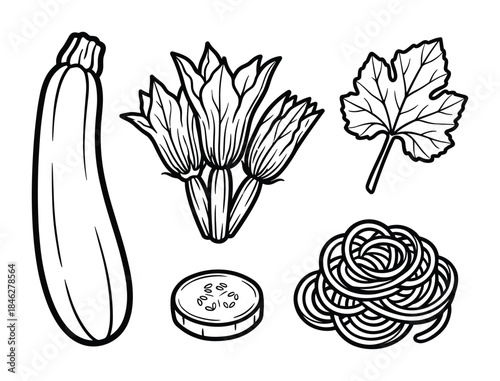 Zucchini Plant Illustration with Zucchini, Blossom, Leaf, Slice, and Noodles, Black and White Line Art