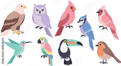 Variety of colorful birds