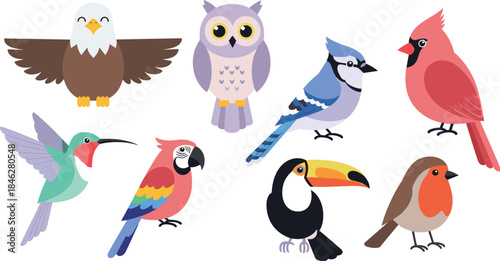 Variety of colorful birds