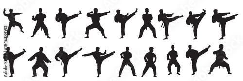 taekwondo man silhouette white background 
