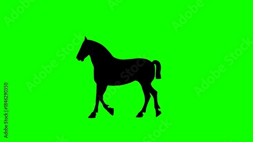 Walking draft horse, animation on the green background (seamless loop)