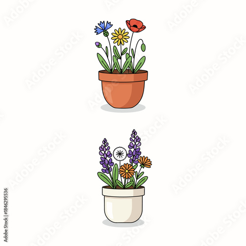 Beautiful Potted Wildflowers Arrangement for Home Decor