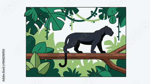 Black Panther Walking on Tree Branch.