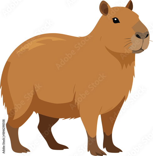 cartoon illustration of a capybara