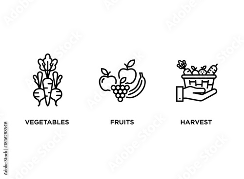 Vegetables Fruits Harvest Minimal Bold Line Icon Set