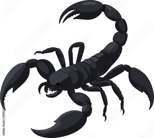 scorpion isolated on white