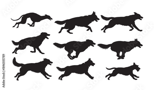 Realistic Running Dog Silhouettes Collection,Running Dog Silhouettes,Vector Running Dog Silhouettes,Active Dog Silhouettes,running dog vector