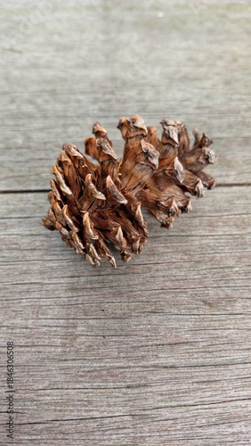 Close-up of a dry pine cone on rustic wooden surface, natural autumn background with earthy tones perfect for nature, forest, and seasonal design concepts.