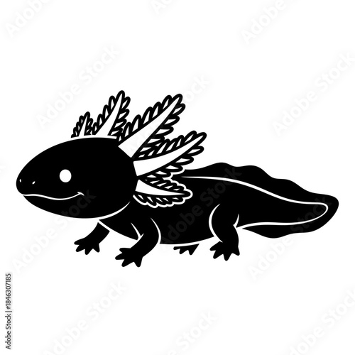 Axolotl Illustration A Charming Amphibian in Black and White.