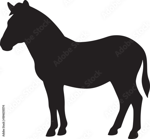 silhouette of a horse