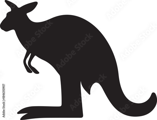 kangaroo vector illustration