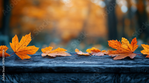 Orange maple leaves on a branch with bokeh in the background.