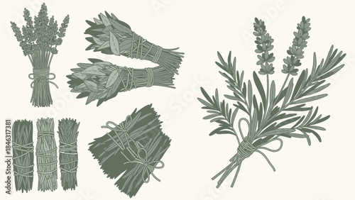 Herbal and Traditional Medicine Flat Vector Set with Four Aligned Panels