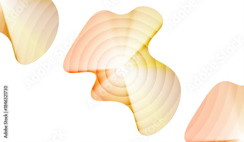 seashell vector illustration