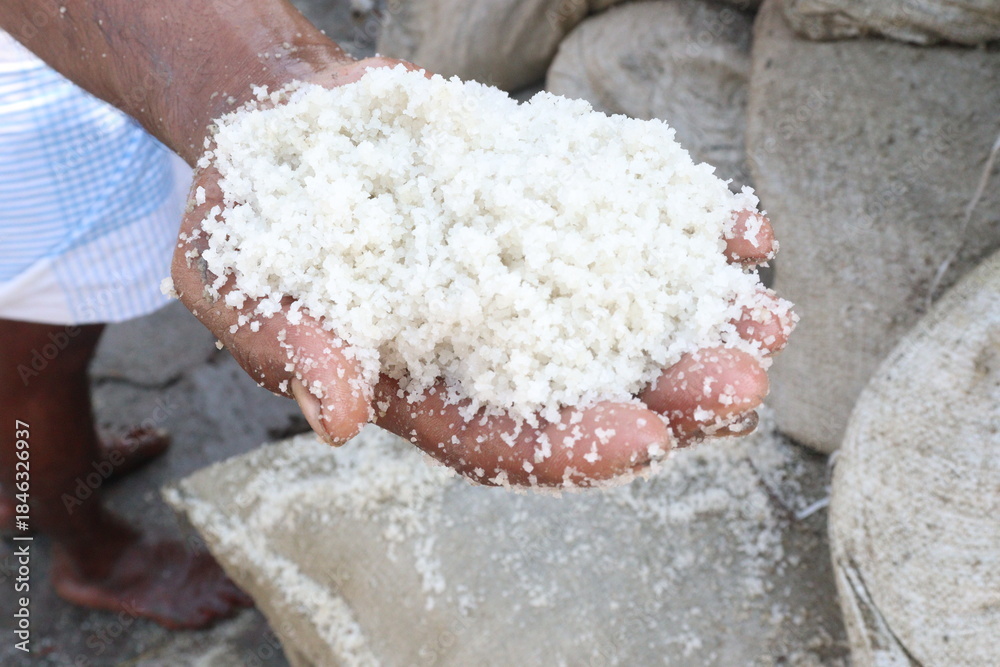 Fototapeta premium raw salt on hand on farm