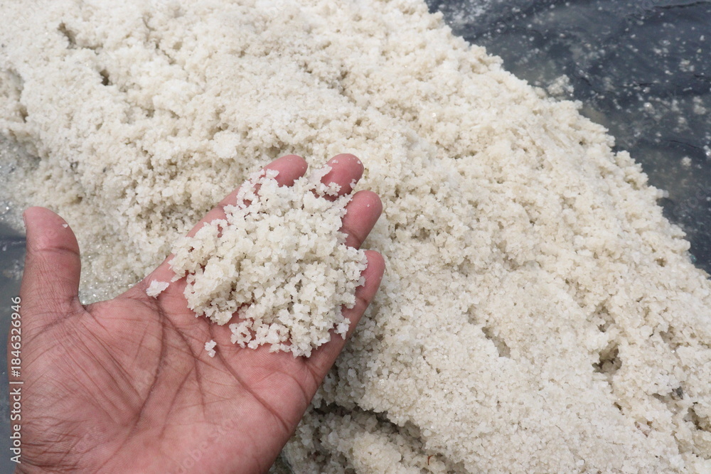 Fototapeta premium raw salt farm on plot with polythene bed