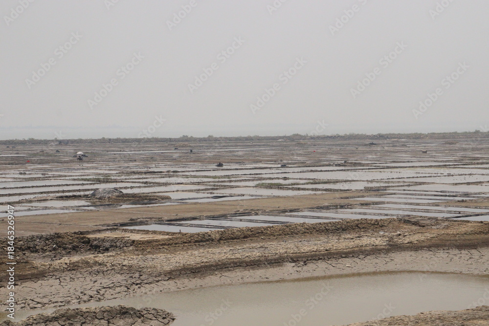 Fototapeta premium raw salt farm plot with water and polythene bed