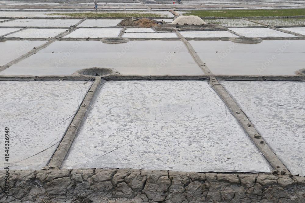 Fototapeta premium raw salt farm plot with water and polythene bed