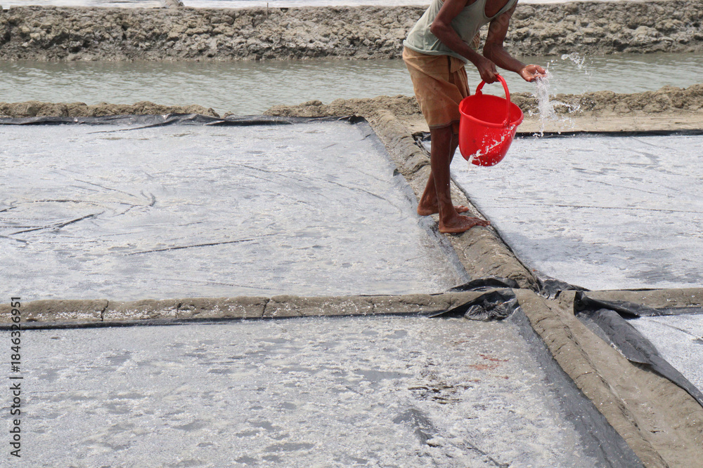 Fototapeta premium raw salt farm on plot with polythene bed