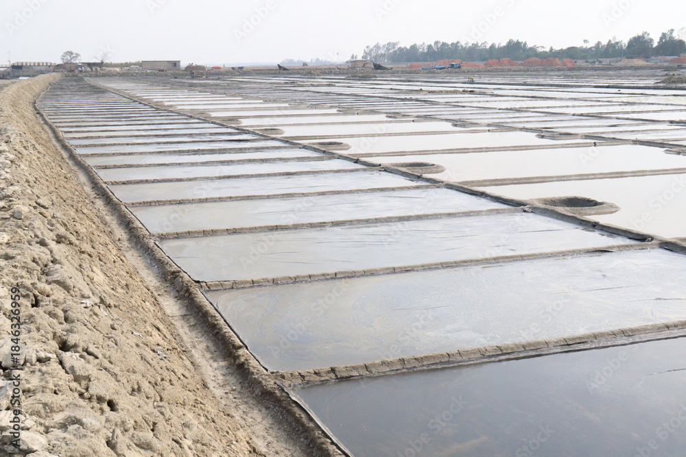 Fototapeta premium raw salt farm plot with water and polythene bed