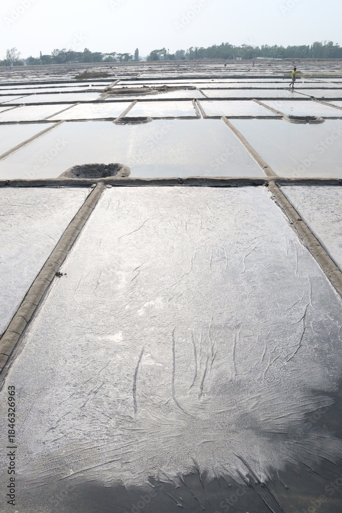 Fototapeta premium raw salt farm plot with water and polythene bed