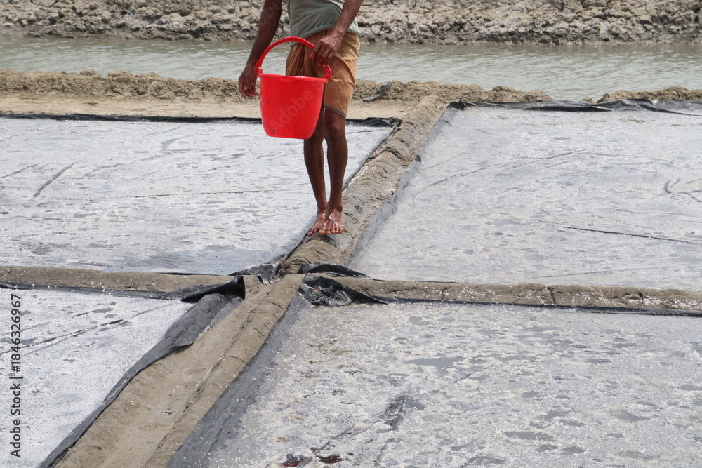 Fototapeta premium raw salt farm on plot with polythene bed