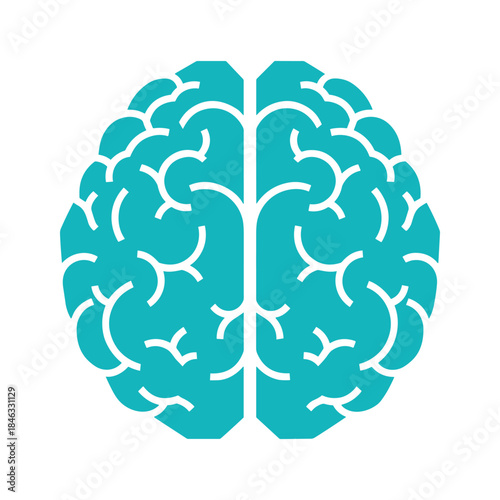 Human Brain Icon
